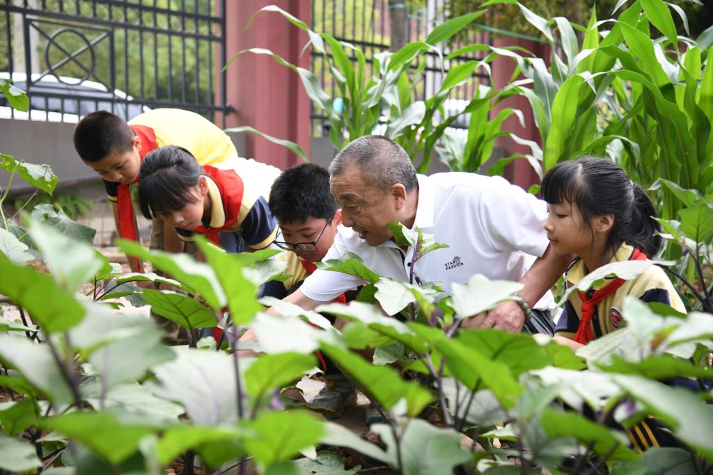 习近平关切事 一封信背后的牵挂